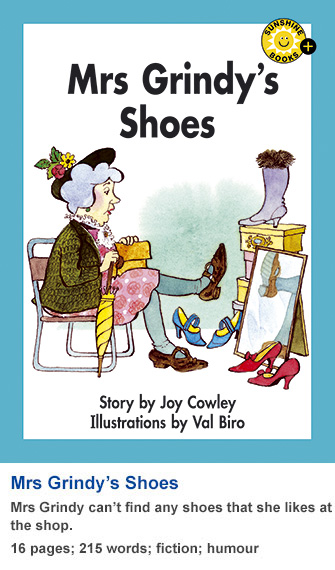 Mrs Grindy's Shoes