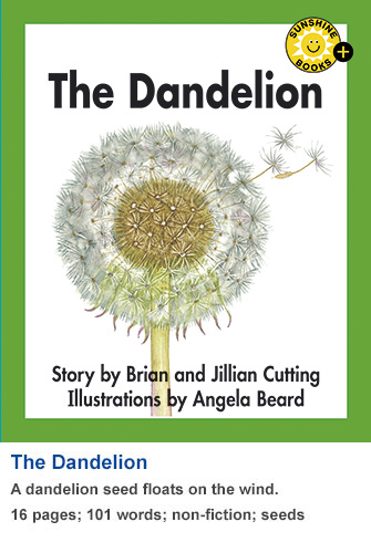 The Dandelion