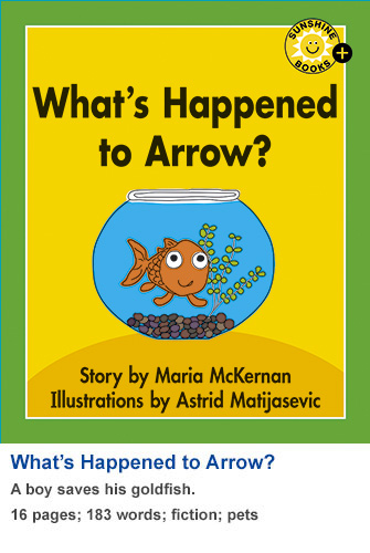 What's Happened to Arrow?