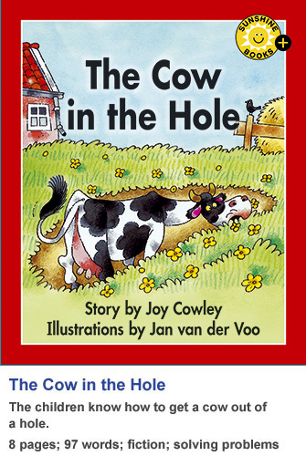 The Cow in the Hole