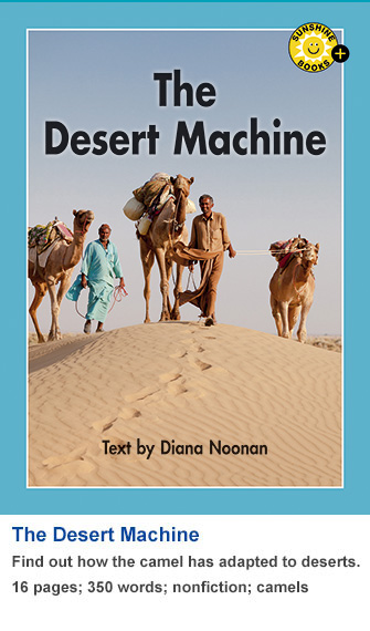 The Desert Machine